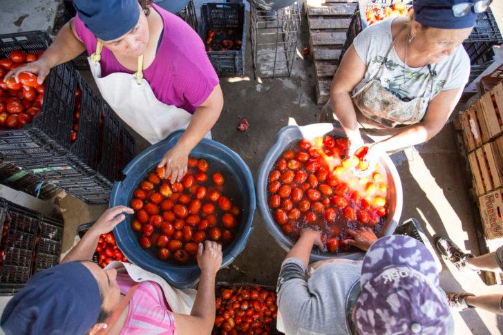 La Ley Bases y el impacto en las trabajadoras informales