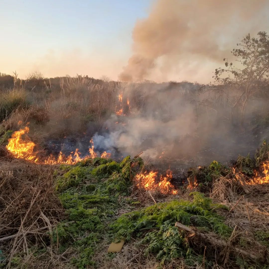 Incendios en la Reserva La Juanita