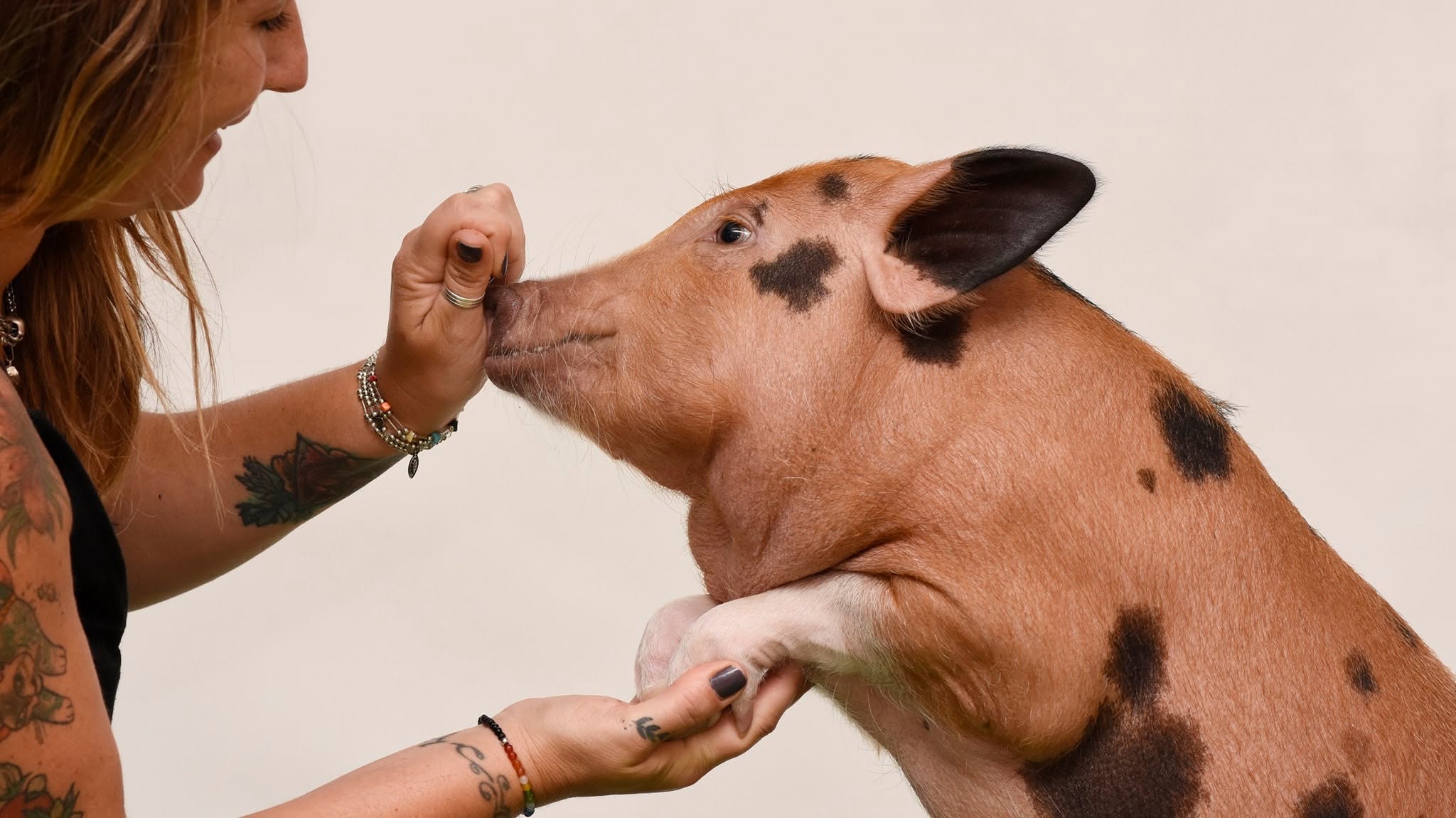 “La Pochi Vegana”: Un santuario multiespecie
